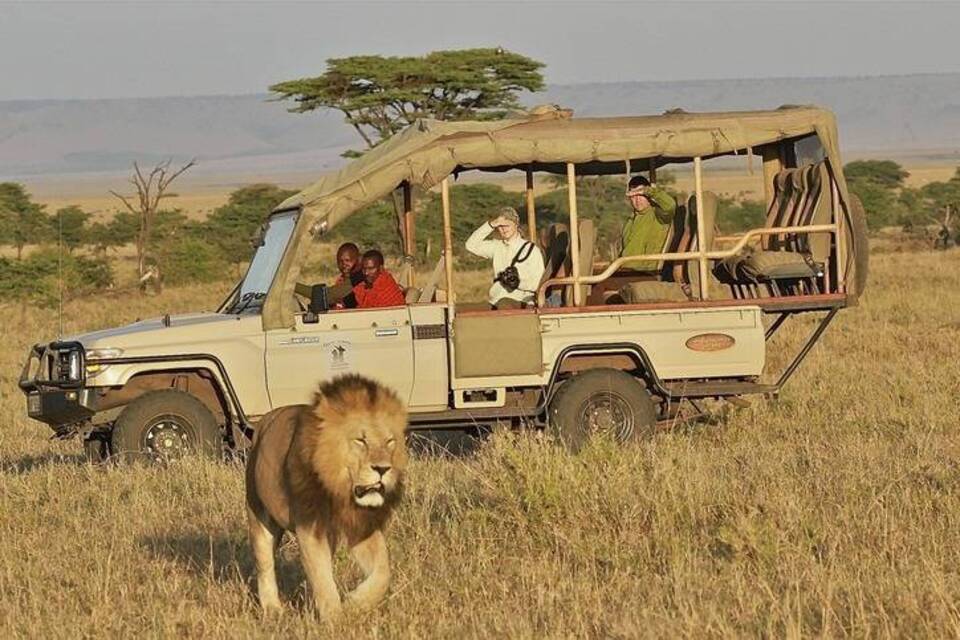 Die mit den Löwen leben: Massai schützen den König der Tiere Die mit den Löwen leben: Massai schützen den König der Tiere