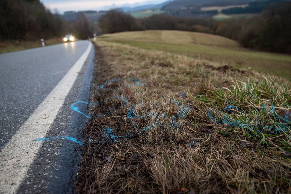 Zwei Polizisten bei Verkehrskontrolle getötet Zwei Polizisten bei Verkehrskontrolle getötet