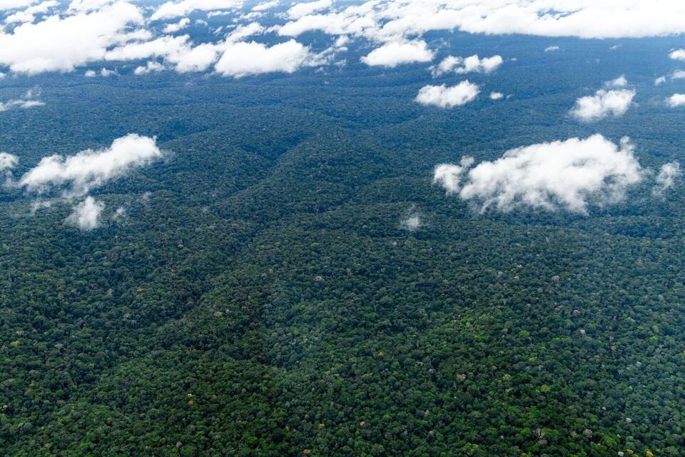 Amazonas Amazonas