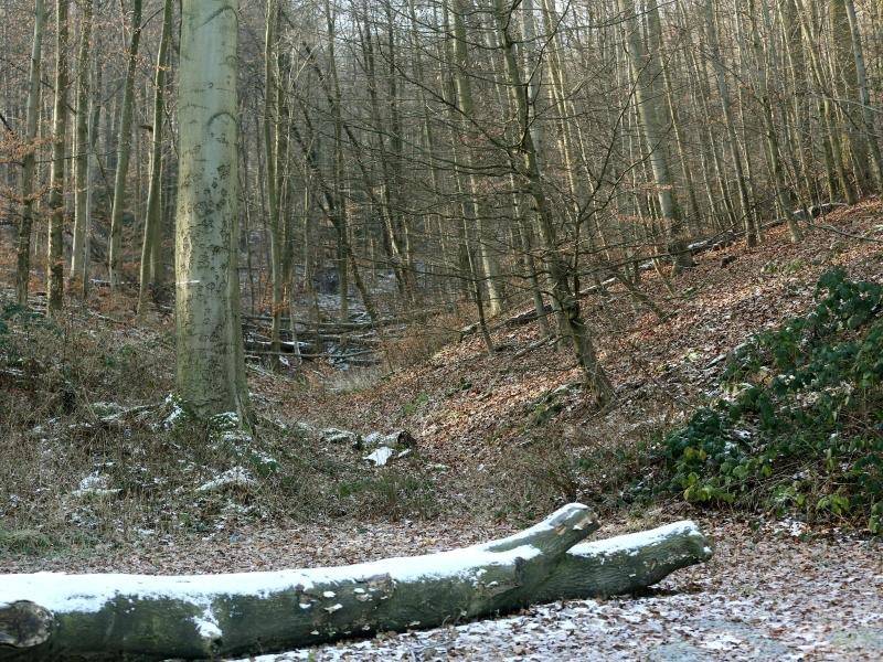 Mädchen aus jemand anderem