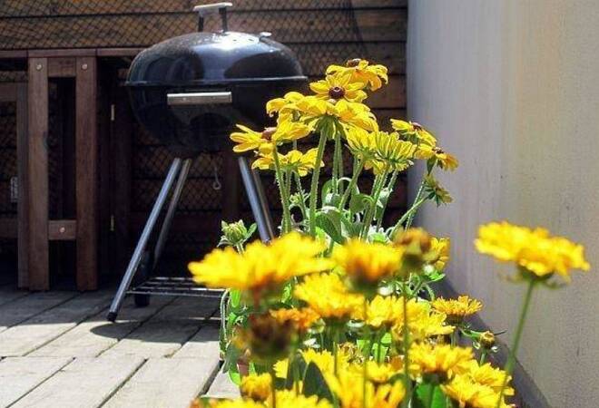 Den balkon für die neue saison herrichten verbraucher rhein ...