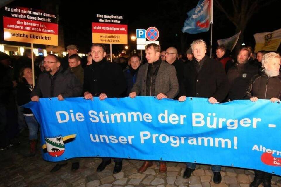 AfD-Kundgebung