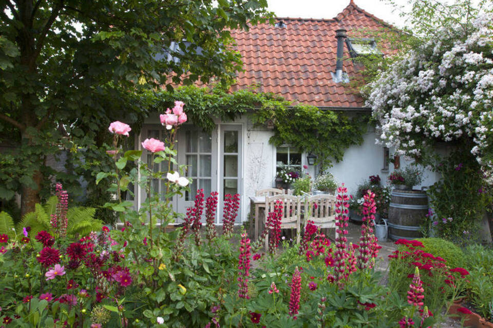 Gärtnern nach Farben – Winterzeit ist Planungszeit