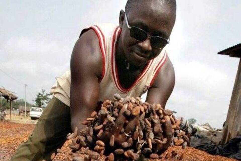 Bittere Seite der Schokolade: Kinderarbeit auf Kakaoplantagen