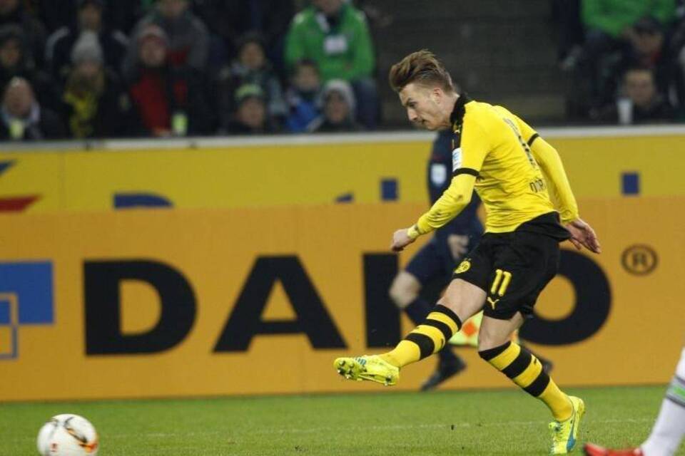 BVB-Star BVB-Star