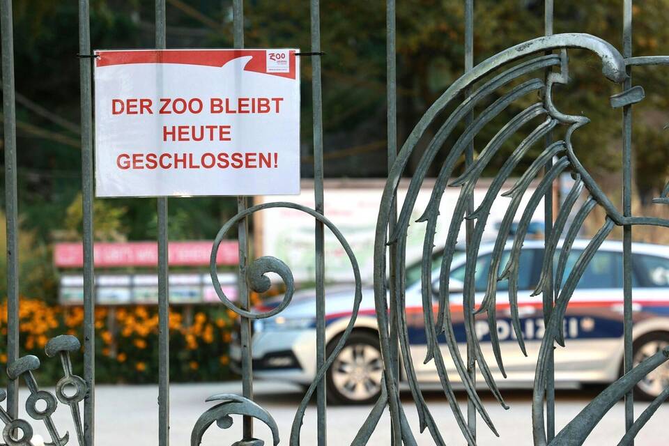 Pflegerin durch Nashorn-Angriff im Zoo Salzburg getötet Pflegerin durch Nashorn-Angriff im Zoo Salzburg getötet