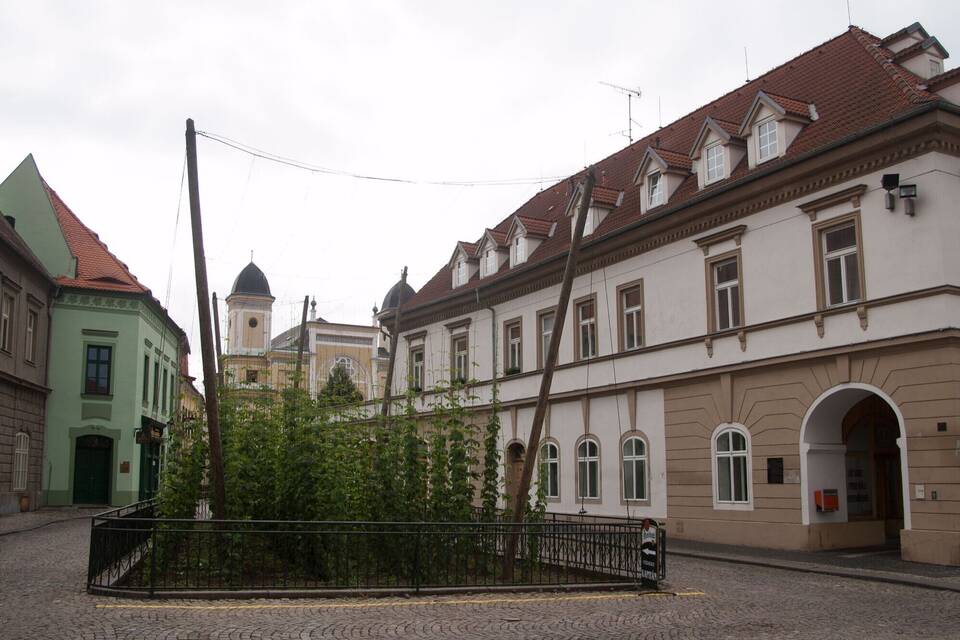 Zatec Zatec