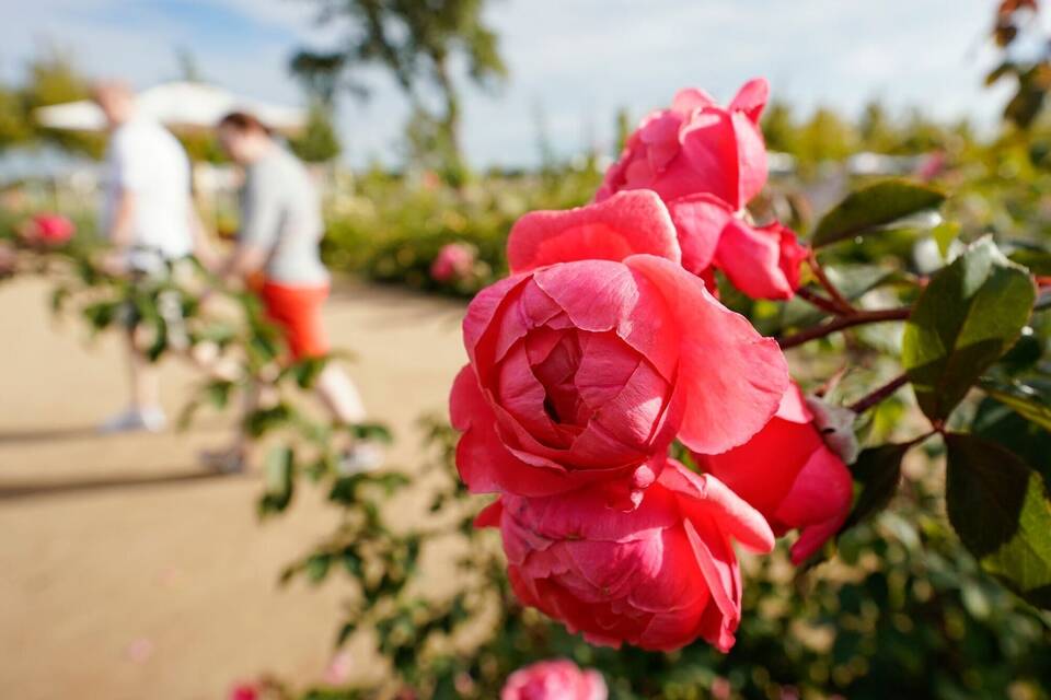 Bundesgartenschau 2023 Bundesgartenschau 2023
