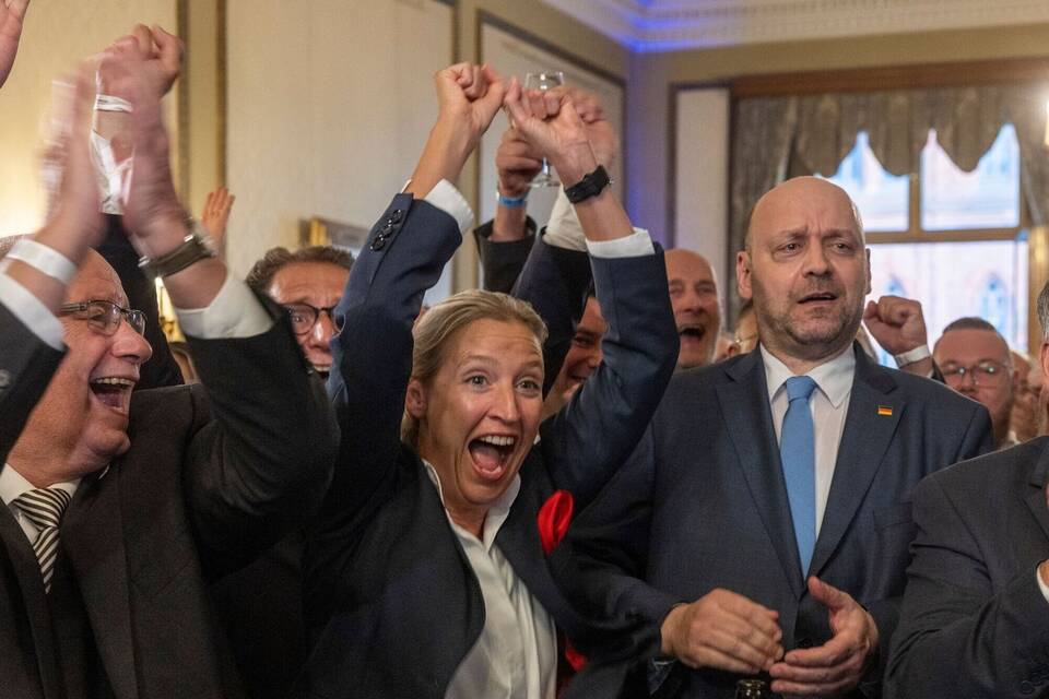 AfD AfD
