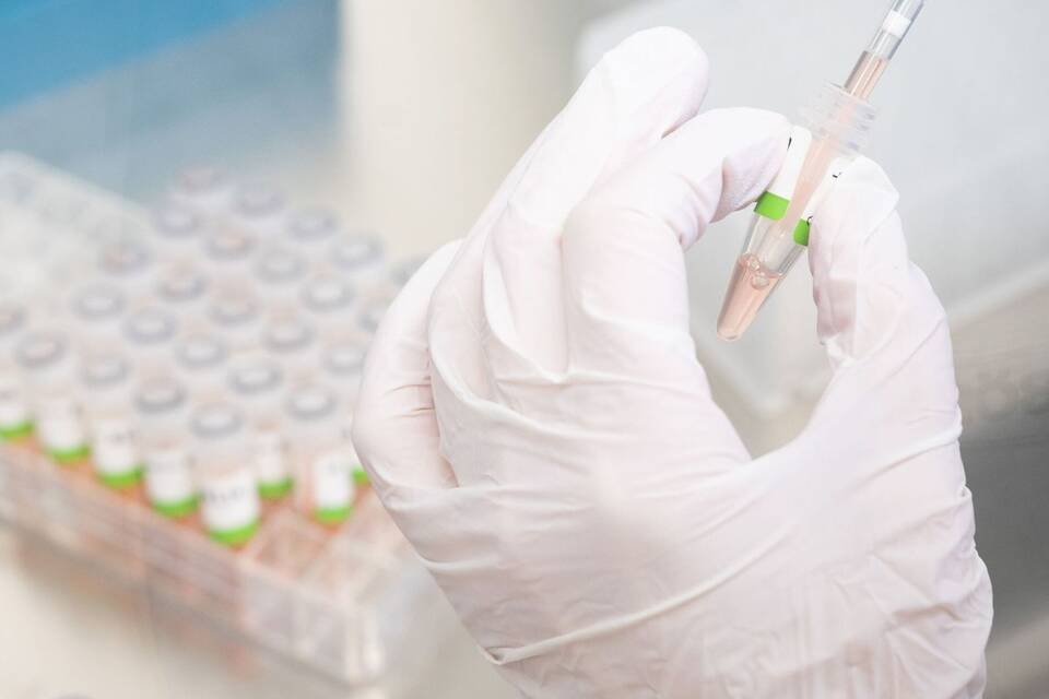 Coronavirus Coronavirus
