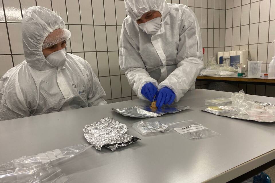 Wollnashorn-DNA Wollnashorn-DNA