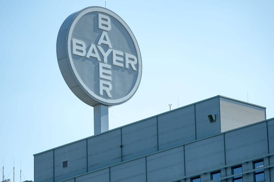 Bayer Bayer