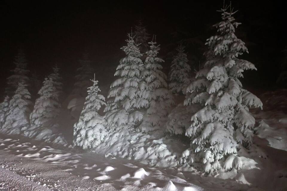 Schnee