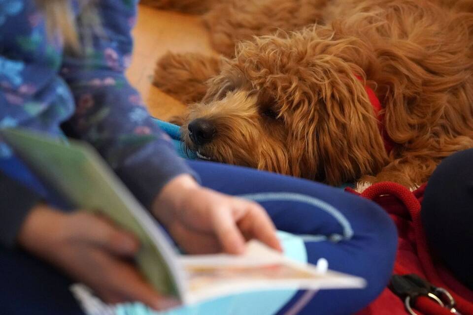 Vorlesen Vorlesen