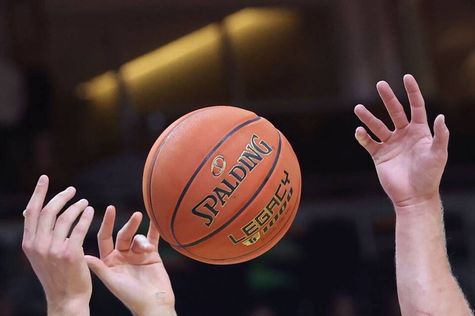 Niners Chemnitz - Rostock Seawolfs Niners Chemnitz - Rostock Seawolfs