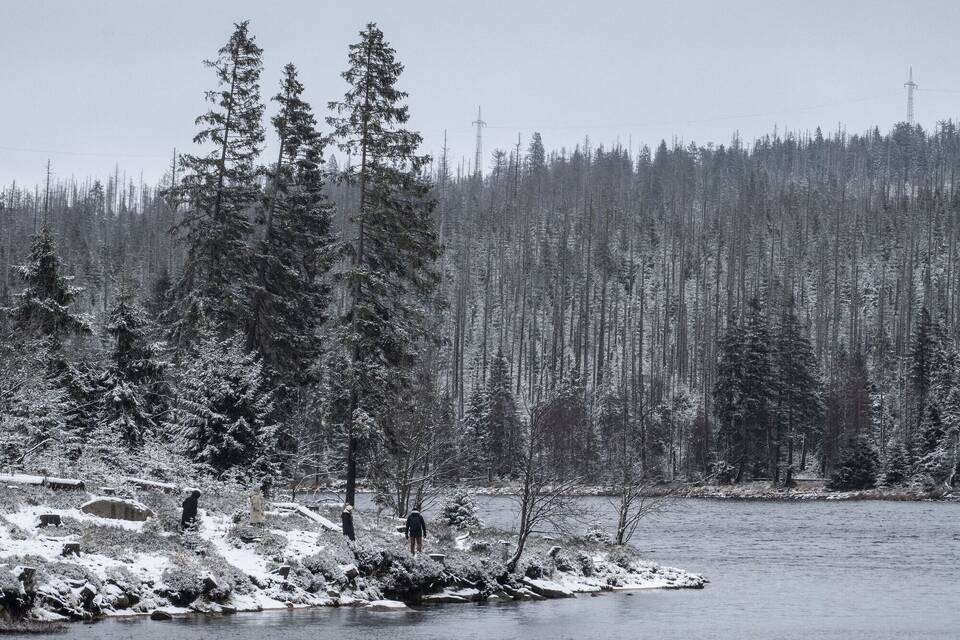 Schnee im Harz Schnee im Harz