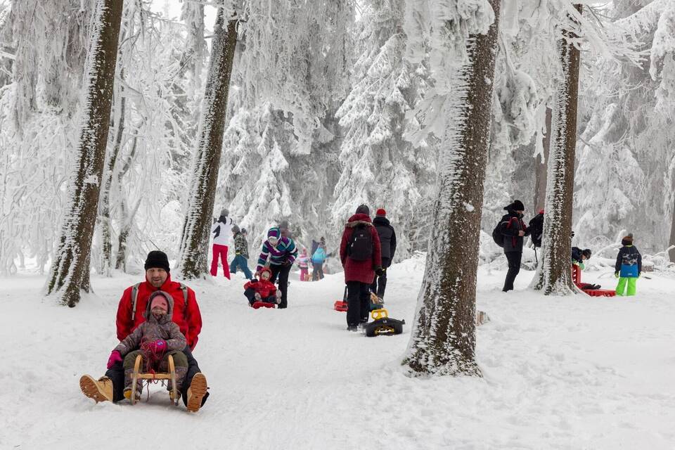 Familien beim Rodeln Familien beim Rodeln