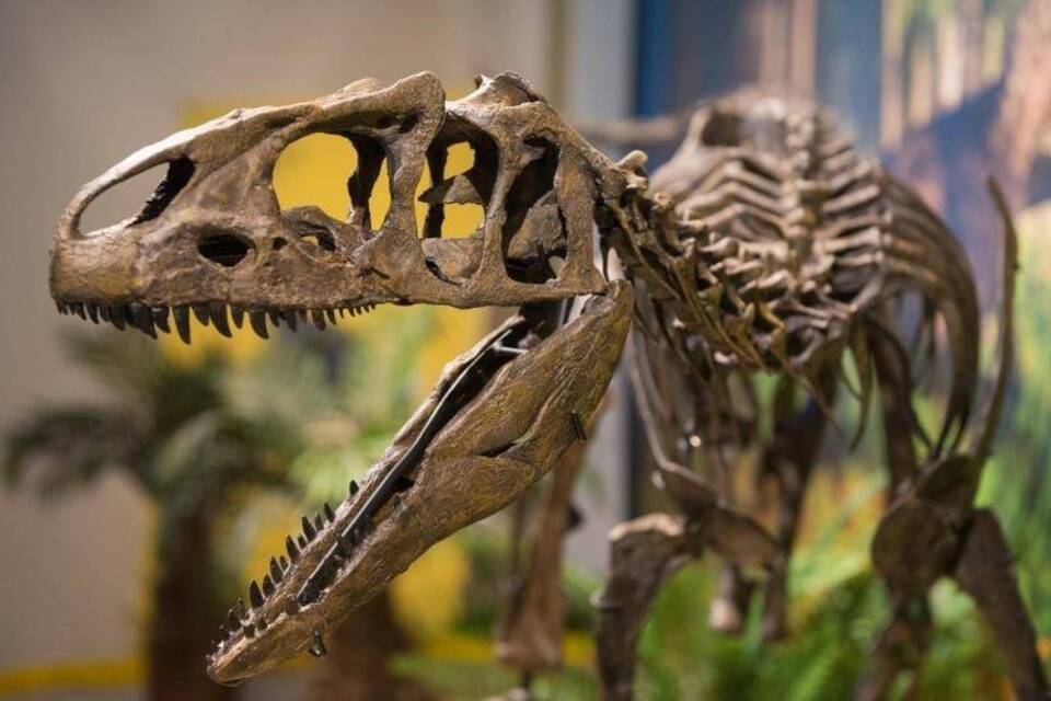 Neue Exponate: Dino-Eier und Baby-Dinosaurier - Kultur & Entertainment ...