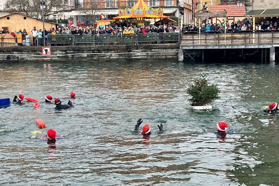 Nikolausschwimmen im Bodensee