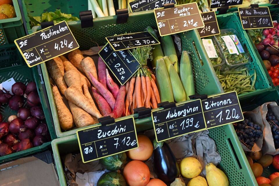 Bio-Gemüse im Supermarkt Bio-Gemüse im Supermarkt