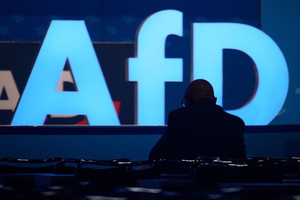 AfD AfD