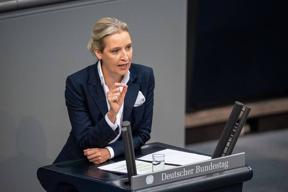 Alice Weidel