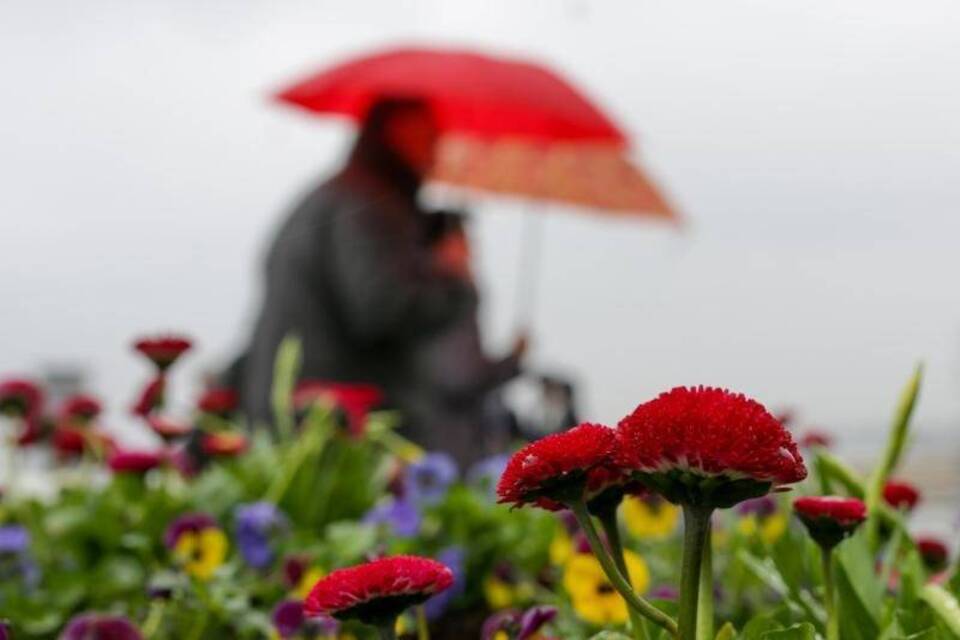 Regen