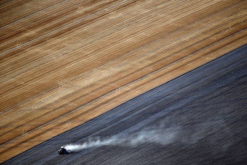 Bauer