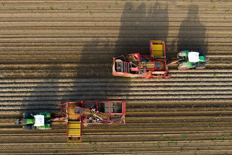 Landwirtschaft Landwirtschaft