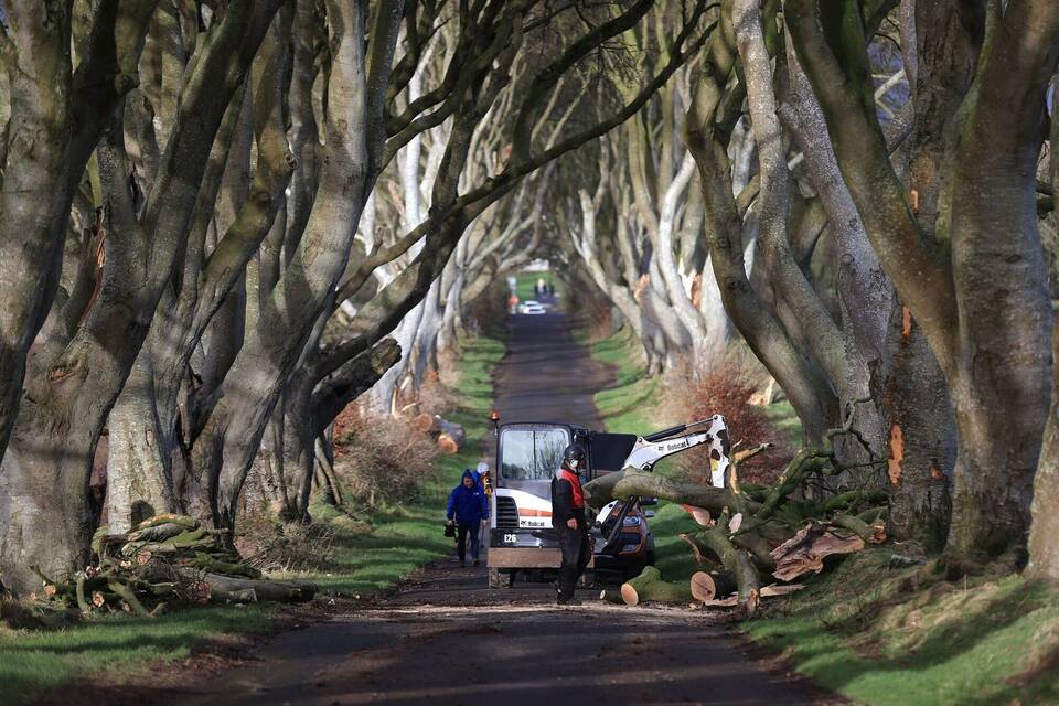Dark Hedges Dark Hedges