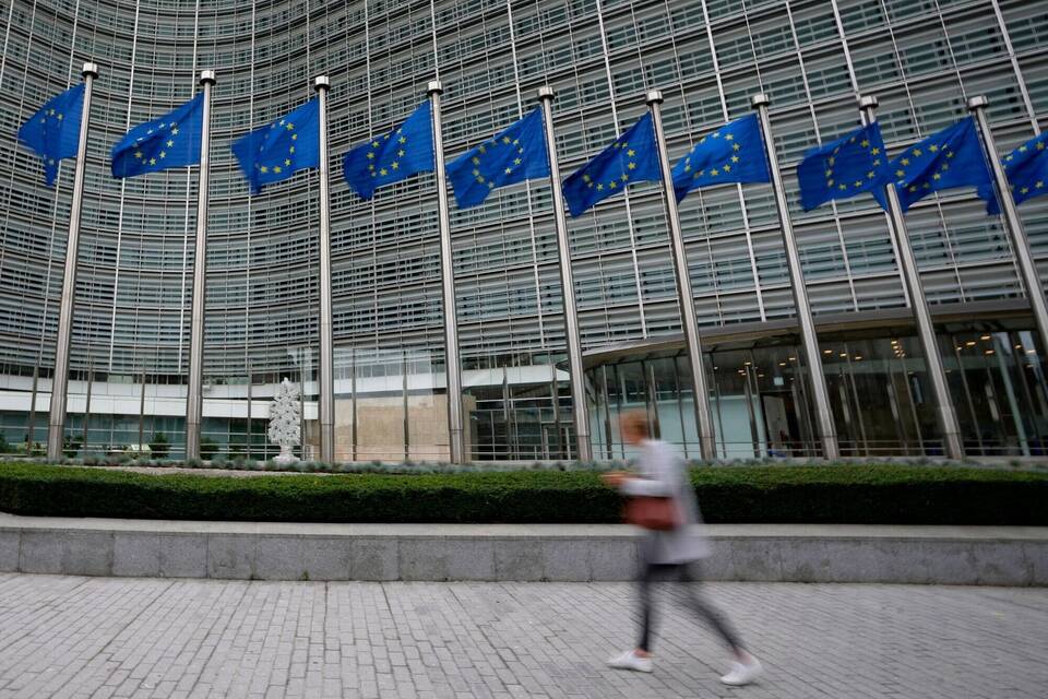 EU-Fahnen EU-Fahnen