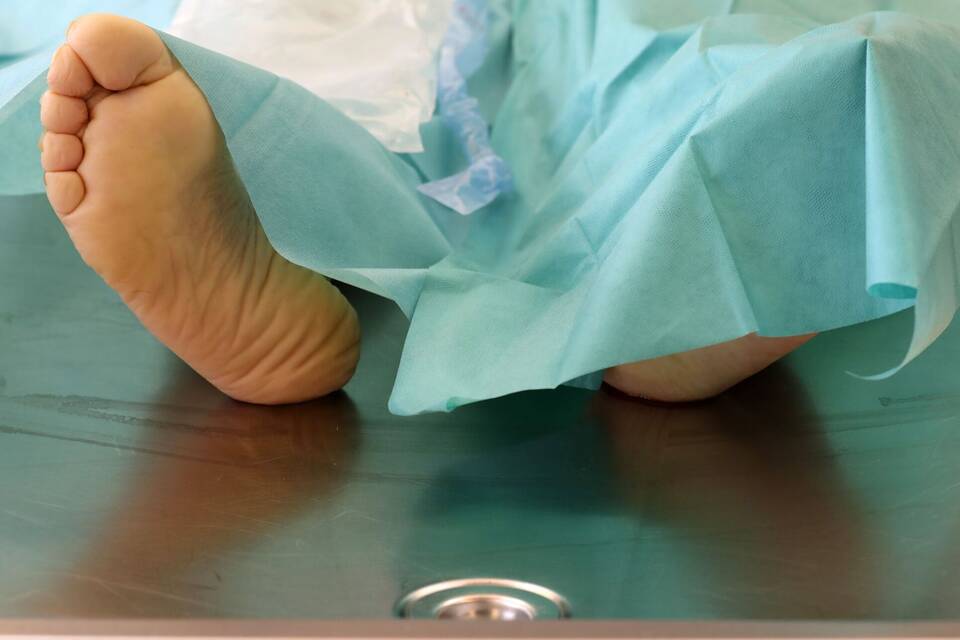 Pathologie Pathologie