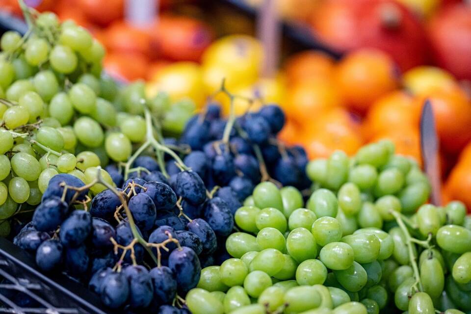 Messe Fruit Logistica beginnt Messe Fruit Logistica beginnt