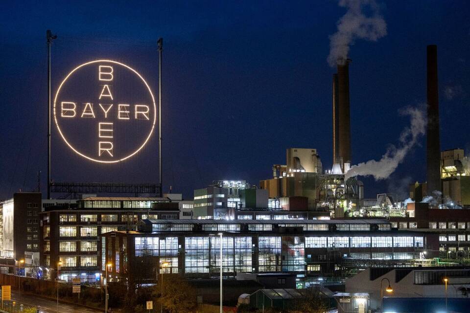 Bayer Bayer