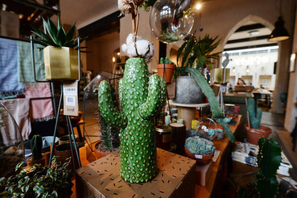 Mein kleiner hipper Kaktus: Warum Cafés überall gleich aussehen