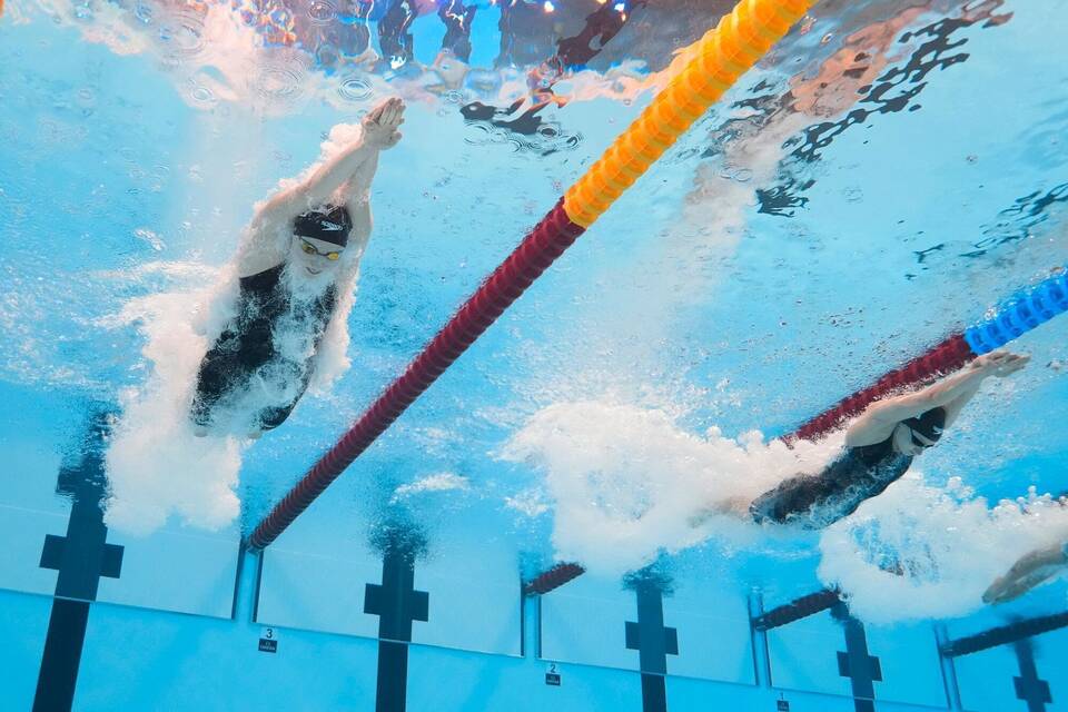 Schwimm-WM