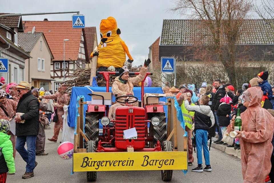 HelmstadtBargen Nachrichten und Aktuelles RheinNeckarZeitung