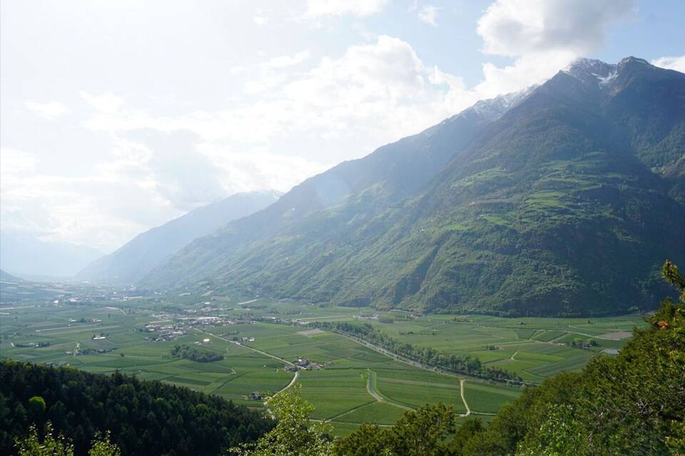 Apfelplantagen im Vinschgau Apfelplantagen im Vinschgau