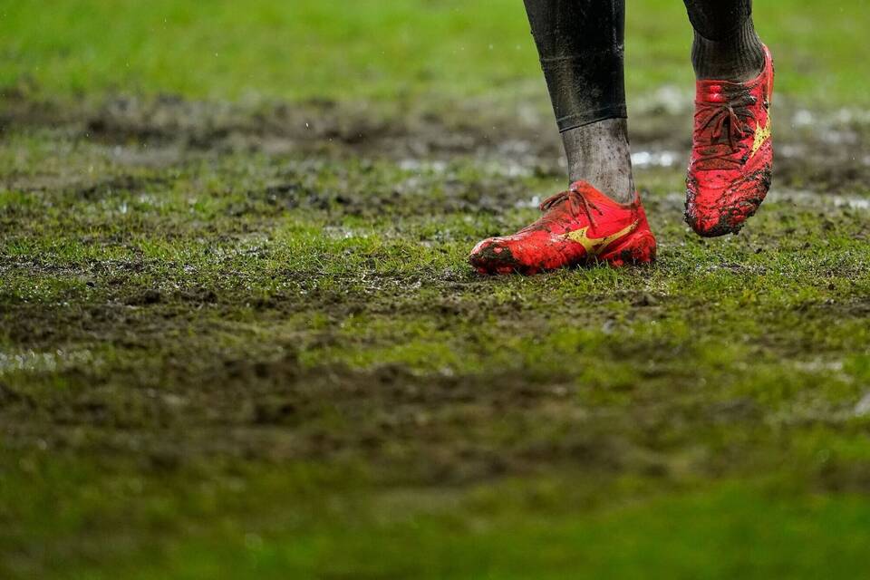 Rasen im Saarbrücker Ludwigsparkstadion Rasen im Saarbrücker Ludwigsparkstadion