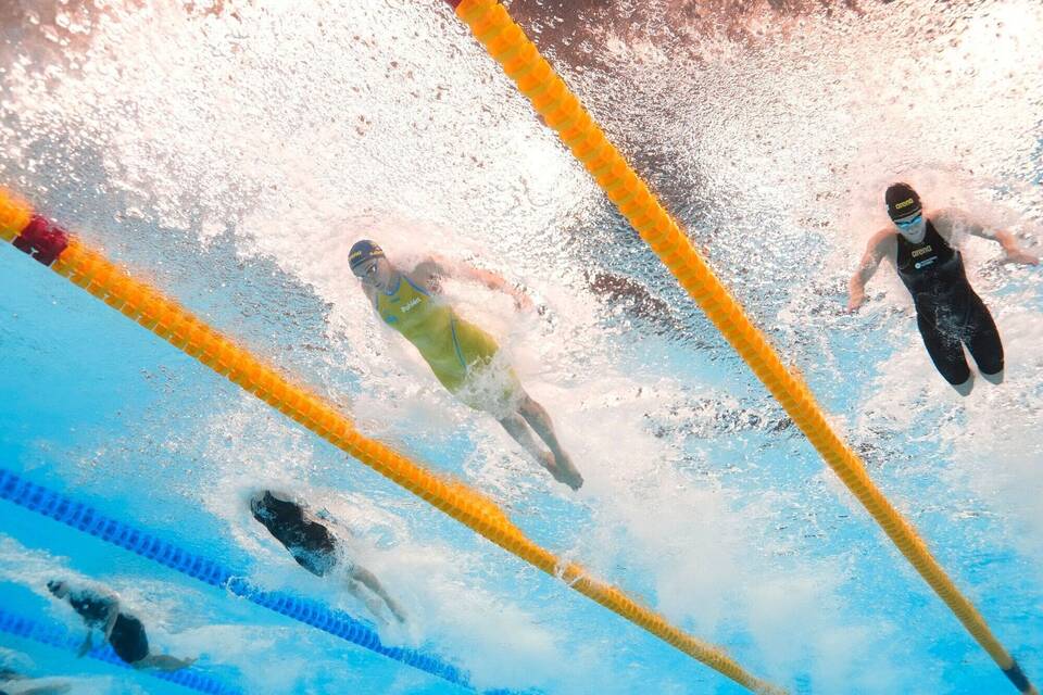 Schwimm-WM