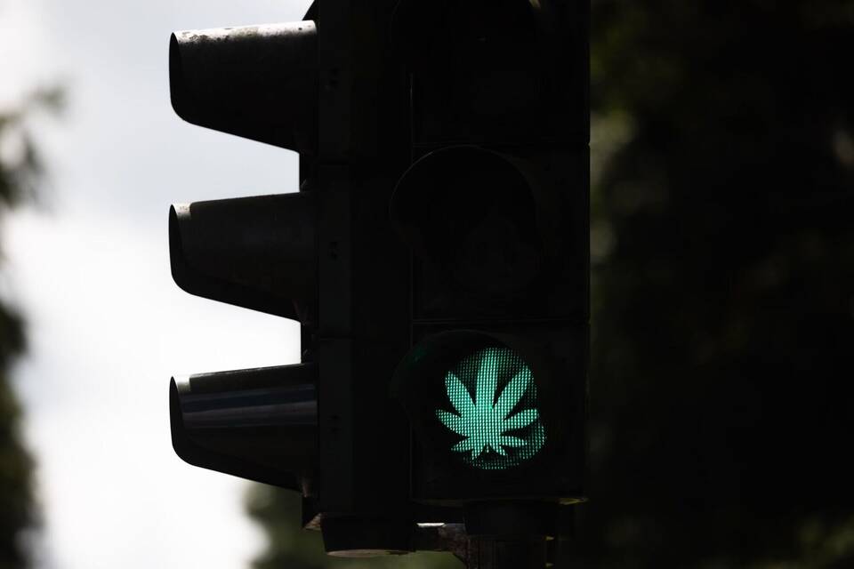 Cannabis-Blatt auf Ampel Cannabis-Blatt auf Ampel