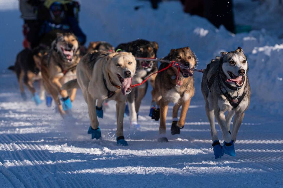 Iditarod-Schlittenhunderennen Iditarod-Schlittenhunderennen