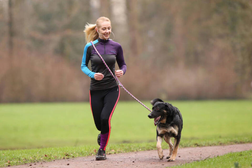 Geborene Ausdauerläufer: So joggt es sich mit Hund Geborene Ausdauerläufer: So joggt es sich mit Hund