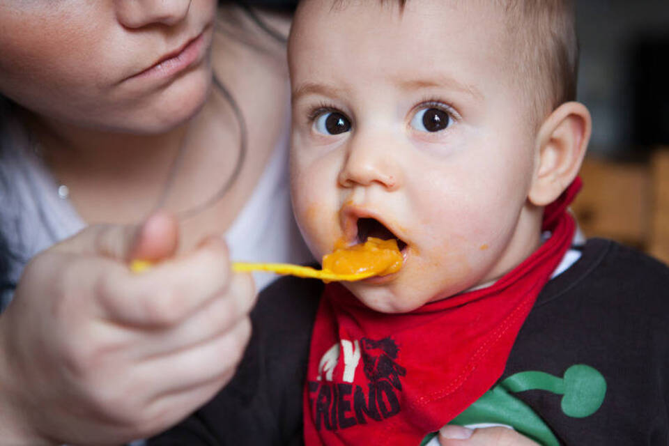 Kochen für Kleinkinder – Von Anfang an gut essen Kochen für Kleinkinder – Von Anfang an gut essen