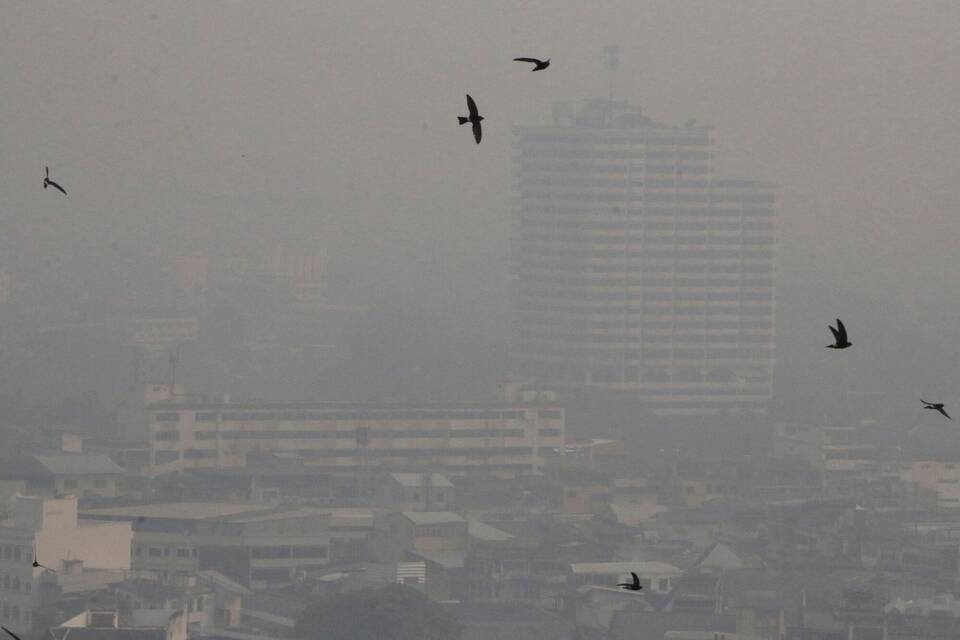 Smog in Thailand