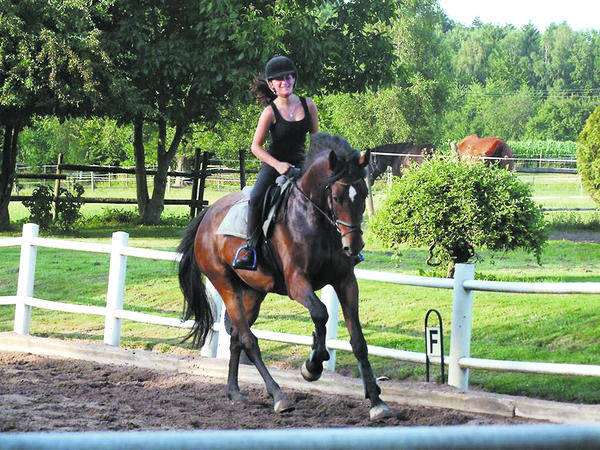 Reiten Und Reiben 10 Reiten Und Reiben 10