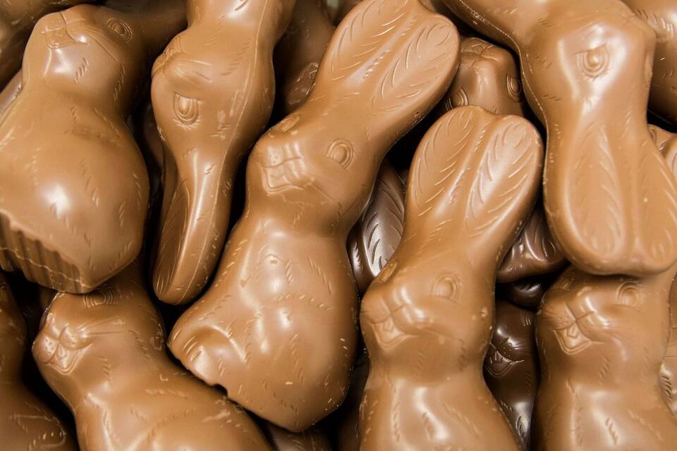 Schokoladen-Hasen Schokoladen-Hasen