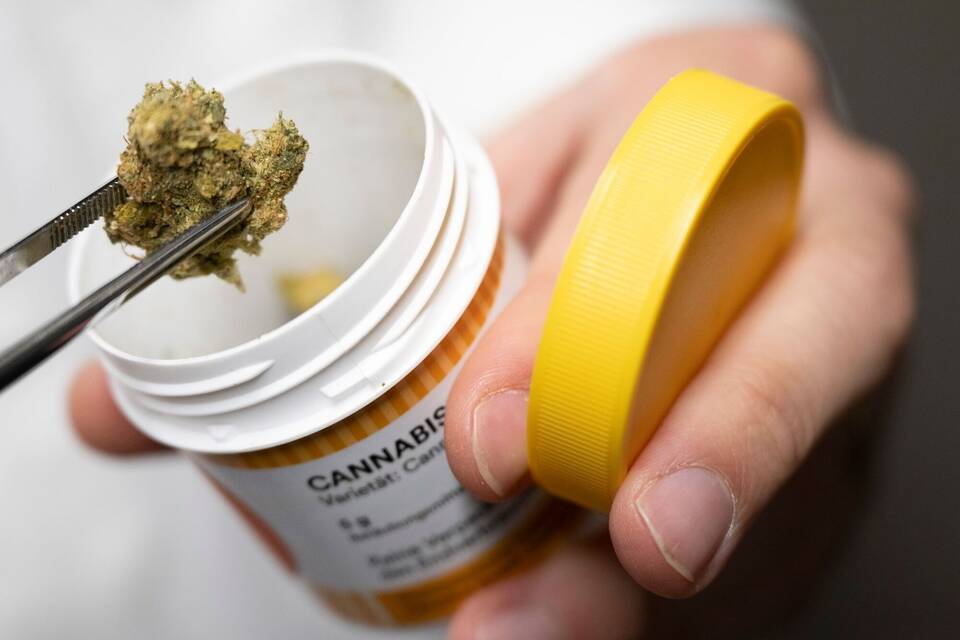Cannabis-Legalisierung Cannabis-Legalisierung
