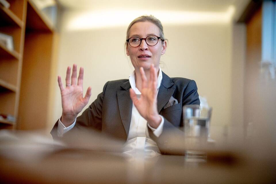 Alice Weidel Alice Weidel