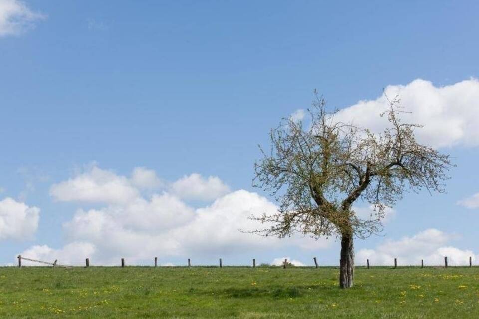 Bauer Himmel